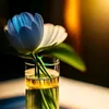 idrissishop.com