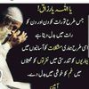 muhammadramzanali91