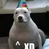 ronangilbert_