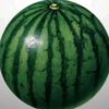 watermelons558