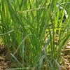 danya99881