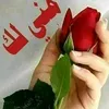 userixf9sfizji