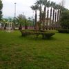 manager.hassan7