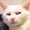 userlu0zcjw3eu