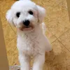 snowycute01
