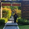 ayubudiaty955