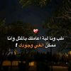 menamahmoud955