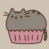 lovercat1234