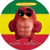 wefe_komech1