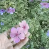 user649dbih94g