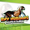 rnv.mangatarem.nu