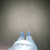 20_petrica
