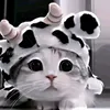 lvrnixe