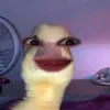 kang_bitjin