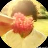 dj_josex.1