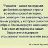 user8871788177058