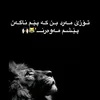 mstafa_shaeda