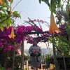 trang____nguyen123