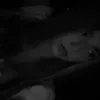 _martina.diomedi_