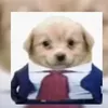 _____danilo______