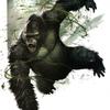 gorilla_therian