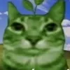 el_gattinio