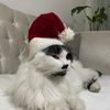 ozzlemyilmaz