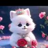 user81301545132502