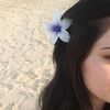 jode7_