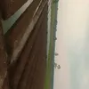 rustt67
