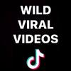 WILD VIRAL VIDEOS