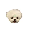 mochimochiusagi