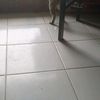 sapar1985625