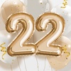 22.twentytwo.22