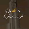shail9254198630206
