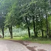 arturniedzielski2