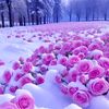 user190211836