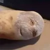 potat0ball