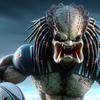 predatorsrugby0