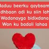 bilanbilan29