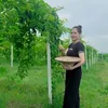 nguyenchinh797
