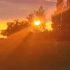 josidragonsmei