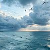 veroniks_68
