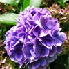 christinebranger6