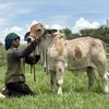 methasit_547