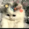 imalisonfrndzng