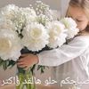elamaielamzir