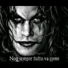 tommy.7830
