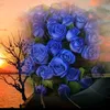 norlidaadnan830