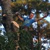 treemanleblanc